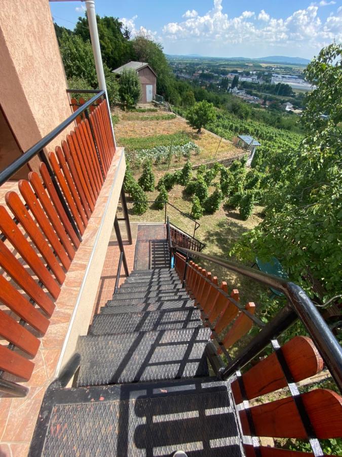 Feher Szolo Vendeghaz Sátoraljaújhely Exterior foto
