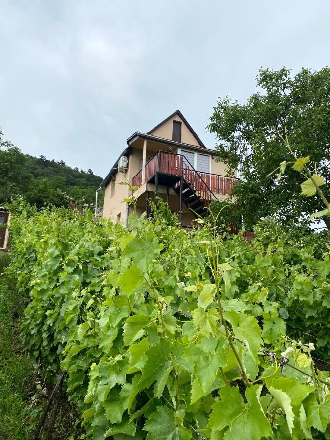Feher Szolo Vendeghaz Sátoraljaújhely Exterior foto